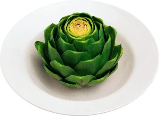 洋蓟 PNG免抠(2762x2033)