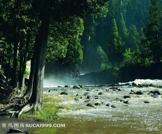 山水剪影丛林溪水