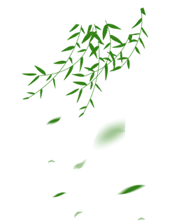 春天绿色春季水墨柳树柳条柳叶春季海报设计PNG免扣素材