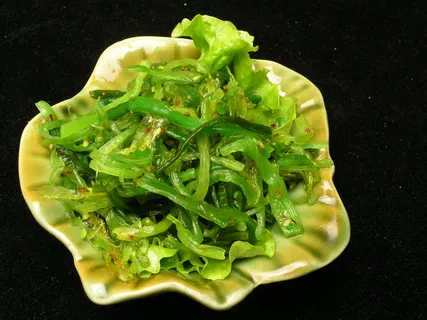 3035和风海草 3035和风海草