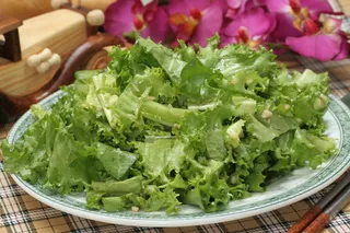 凉拌苦菊  8元 (1)