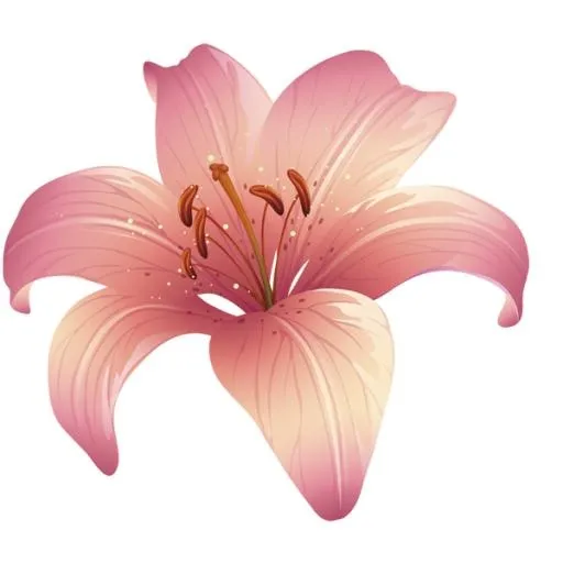 百合花免抠(600x600)
