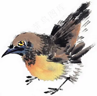 画鸟欣赏花美图素材