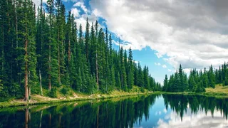 高清山水树林树木