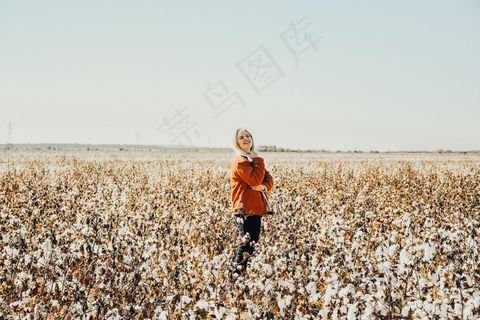 棉花地写真图片