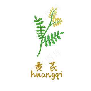 手绘草本中药药材黄芪
