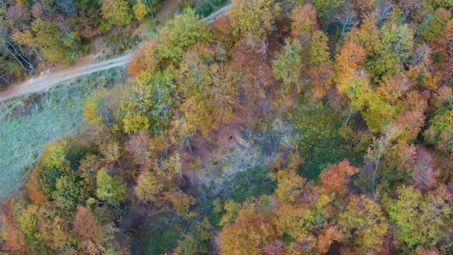 山, 鸟瞰图, 自然, 景观, 秋天, 森林, 树