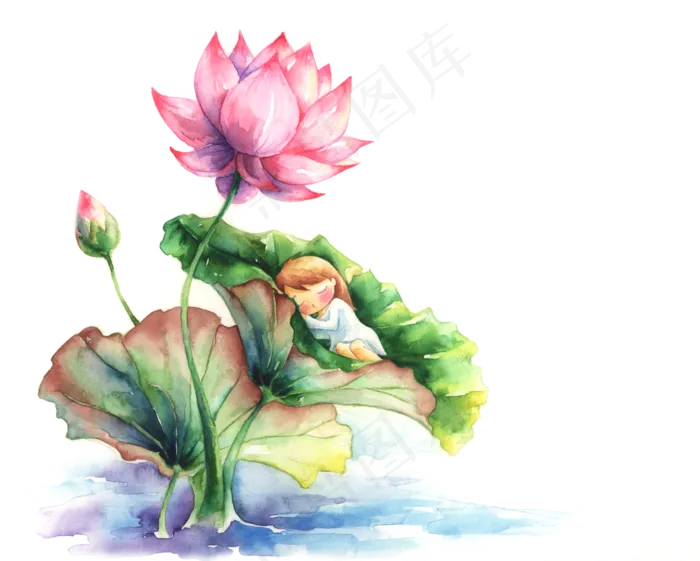 唯美古风水彩手绘荷叶荷花