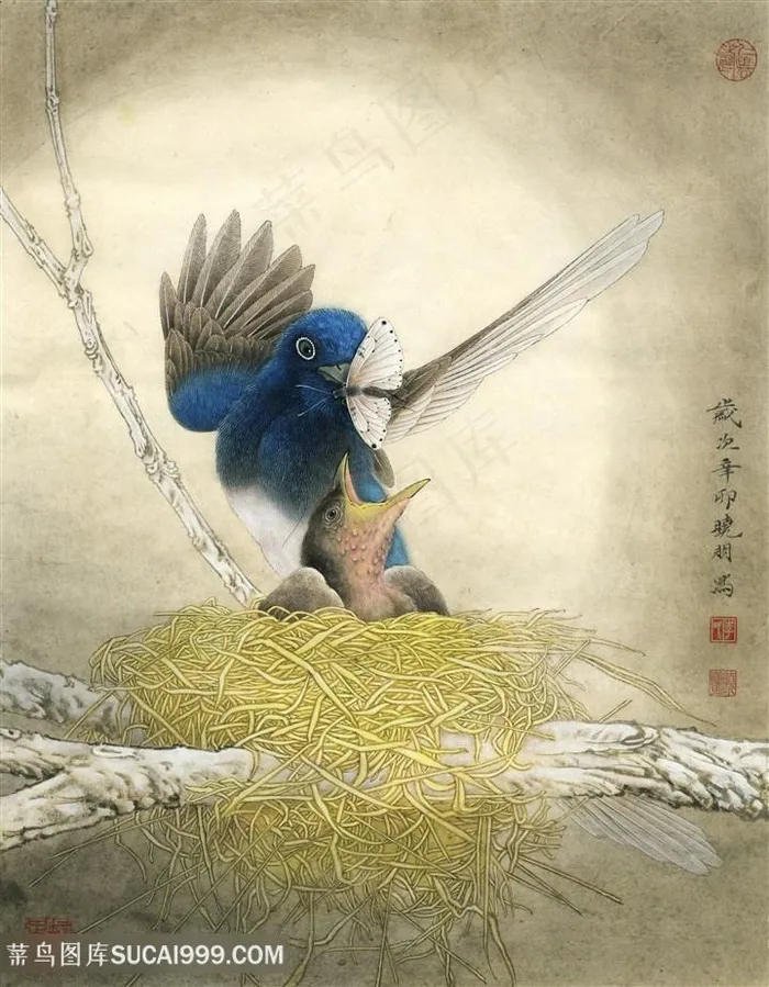 现代高清工笔画雀雏待饲国画图片