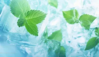 清凉夏日冰块薄荷水背景