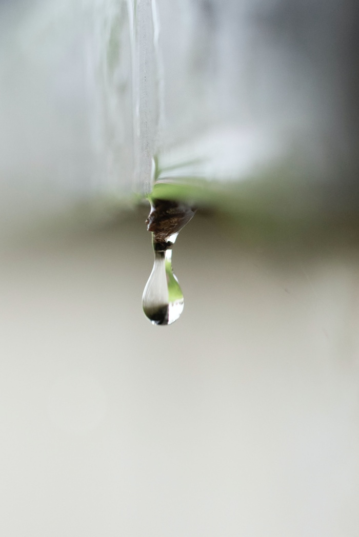 水滴水纹水花海水纯静水泉水图片 (12)