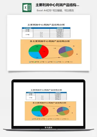 主要利润中心利润产品结构图excel模板