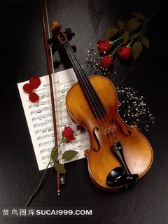 乐谱上的玫瑰花和小提琴图片素材乐器图片 乐谱上的玫瑰花和小提琴图片素材乐器图片