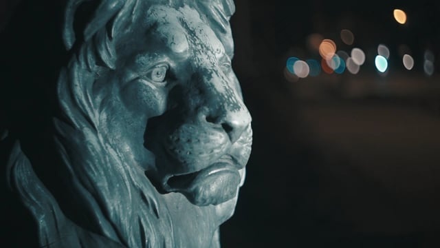 狮子, 雕像, 博物馆, 夜晚, 街道, 晚上