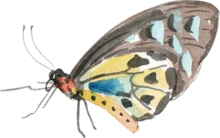 插画免抠高清素材