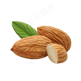 扁口核桃免抠图片