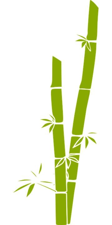 竹子 PNG免抠(360x720)