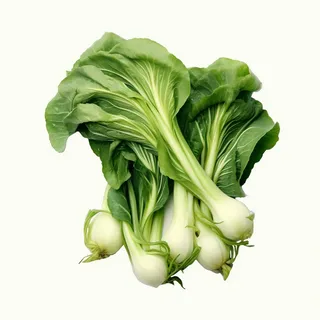 青菜白菜蔬菜摄影图