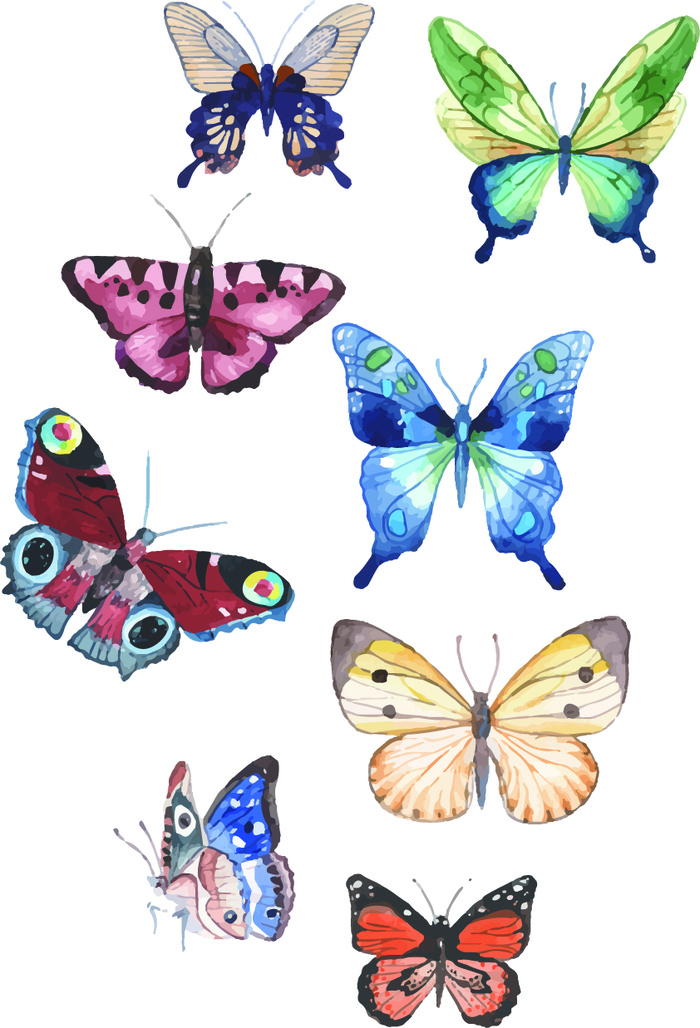 简约风春天蝴蝶昆虫元素插画