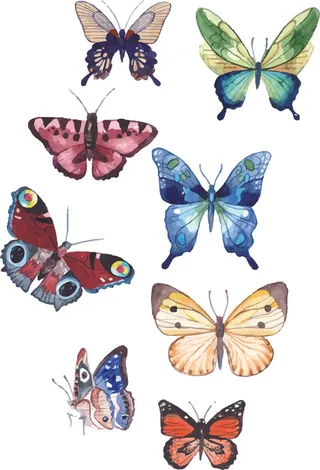 简约风春天蝴蝶昆虫元素插画