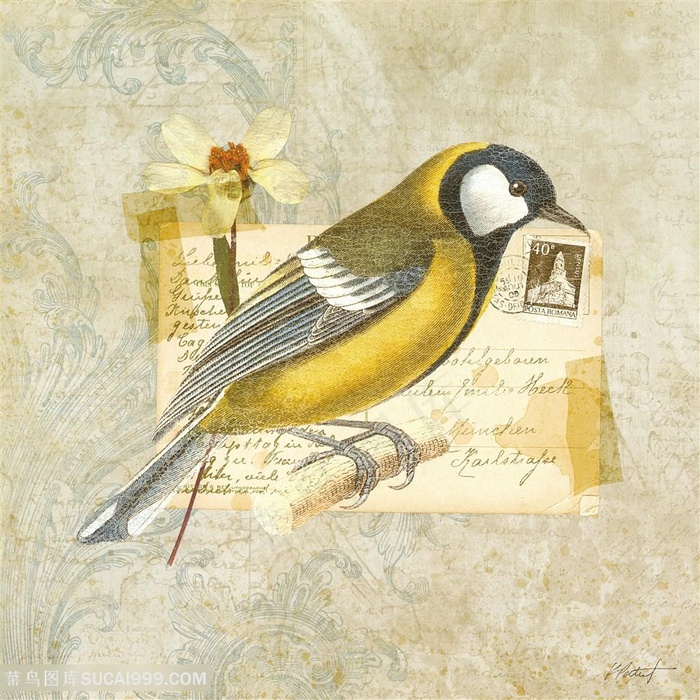 欧式花鸟装饰画