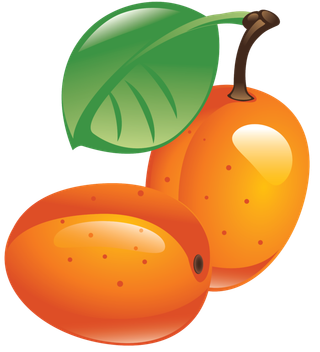 水果   水果   水果