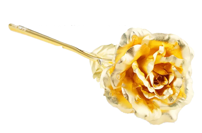 金箔玫瑰花情人节