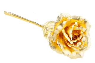 金箔玫瑰花情人节