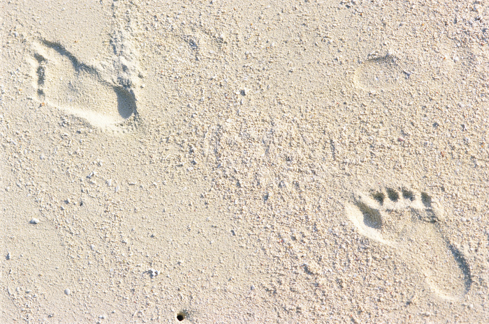 沙滩脚印图片