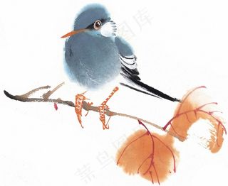 鸟禽绘画美图素材