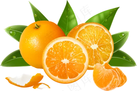 橙子透明素材