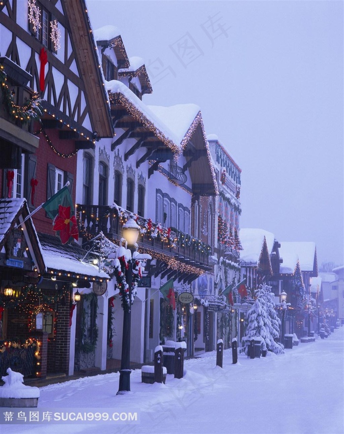 美国圣诞节素材图片