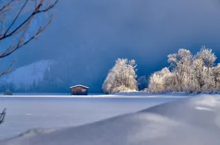 冬天白色背景风景