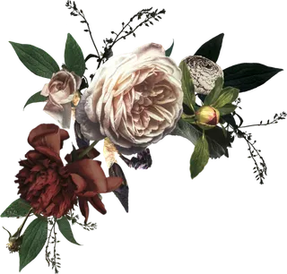 欧式优雅精致复古风格油画质感色彩手绘花卉植物树叶插画PNG素材