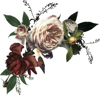 欧式优雅精致复古风格油画质感色彩手绘花卉植物树叶插画PNG素材 欧式优雅精致复古风格油画质感色彩手绘花卉植物树叶插画PNG素材