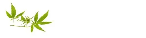 大麻PNG免抠(6908x1837)