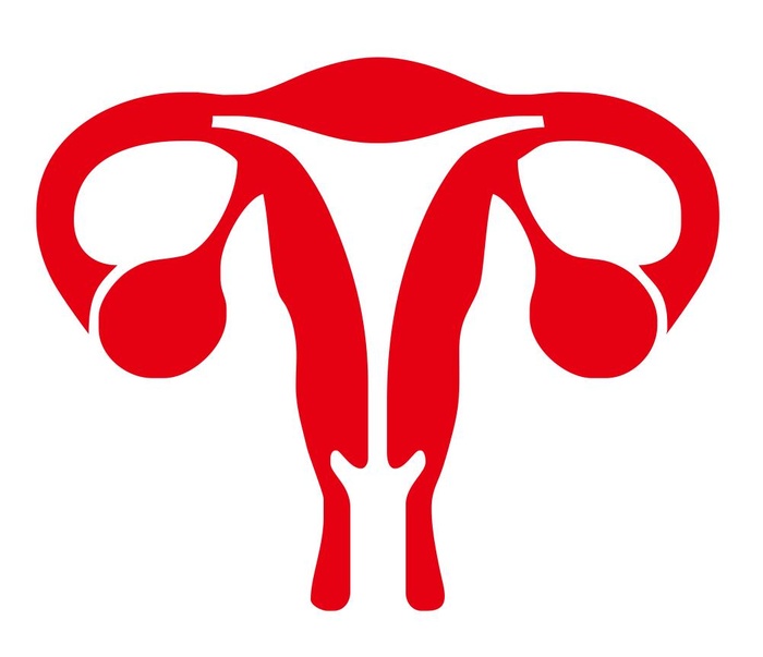 免抠矢量女性生殖系统cdr矢量模版下载