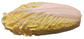 娃娃菜免抠摄影元素素材