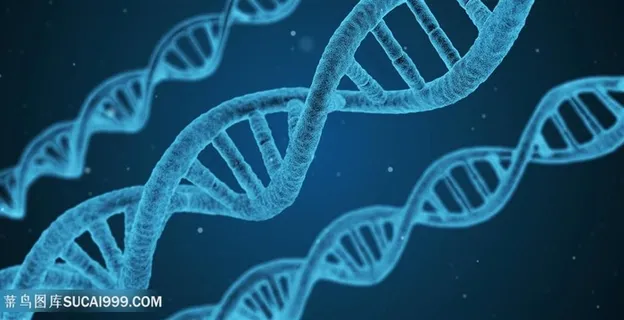 dna基因双螺旋结构 dna基因双螺旋结构