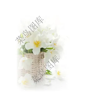 花篮高清图