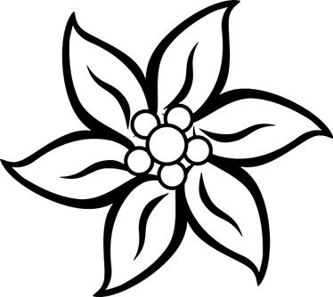 雪绒花 PNG免抠(374x334)