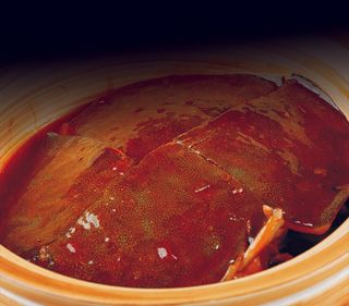 89XC-419红煨洞庭野生甲鱼