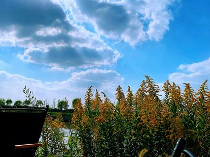 秋天的天空秋高气爽