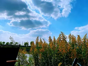 秋天的天空秋高气爽