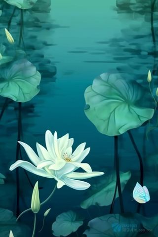 墨绿色荷花荷叶国风背景