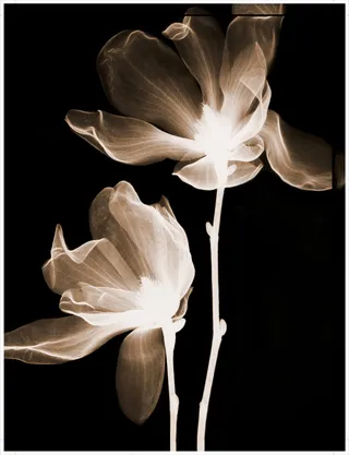 装饰画|客厅|海报画|电表箱装饰画|挂画