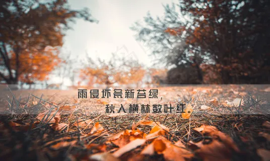 秋天唯美伤感图片文字 秋天唯美伤感图片文字