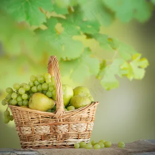 一篮子青葡萄水果图片 一篮子青葡萄水果图片