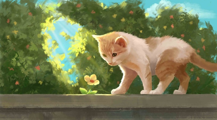 围墙上的猫咪