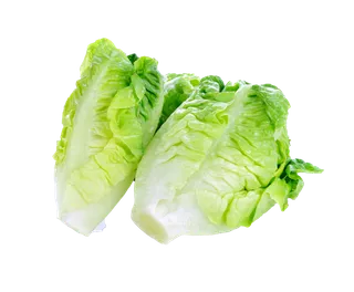 生菜 (34)超市商品白底图免抠实物摄影png格式图片透明底